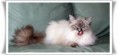 /album/benson/benson-02444-jpg/